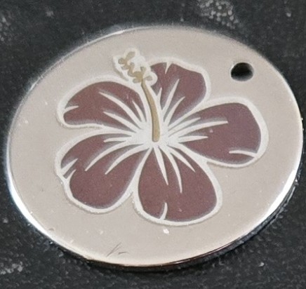 Example image · Silver/White on Stainless 304 · Laser: ComMarker B6 60W Mopa · Lens: 150mm · Entry #5 · Image 1 of 1