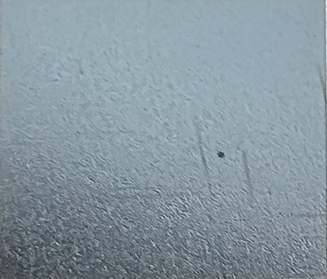 Example image · Blue on Stainless 304 · Laser: JPT YDFLP-E2-60-M7-M-R · Lens: 150mm · Entry #52 · Image 1 of 2