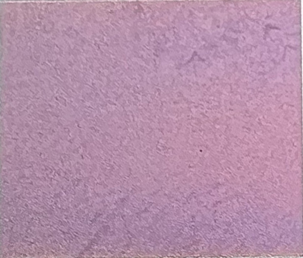 Example image · Purple on Stainless 316 · Laser: JPT YDFLP-E2-60-M7-M-R · Lens: 150mm · Entry #58 · Image 1 of 2